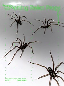 Plastic Spider as Decoration | Realistic Giant House Spider | Halloween Prop | Arachnophobia Therapy | 1 Pcs - Etsy Canada