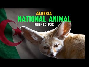 What is the national animal of Algeria?