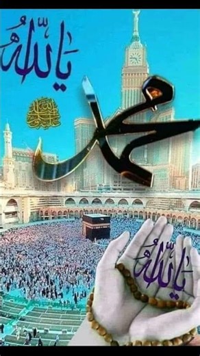 Yasin #islamicvideo #shortvideo #allah 🤲🤲🤲❤️❤️💚💚🌺⭐📖