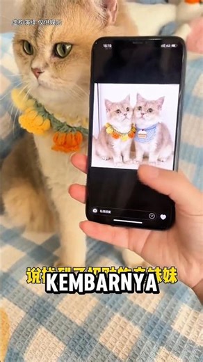 Emon punya saudara kembar 🙀