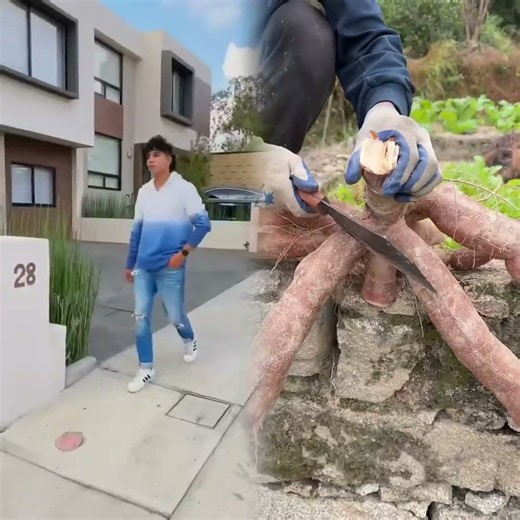 Thank you for watching, thank you for liking, I wish you happiness. #pov #foryou #storytime #fyp