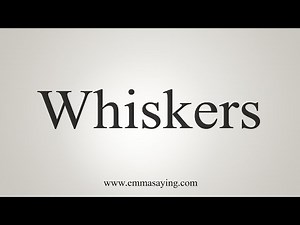 How To Say Whiskers