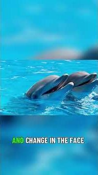 Mastering the Ocean: Dolphins' Unique Adaptations 🌍✨