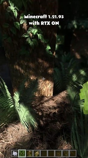 Minecraft 1.21.93 with RTX ON / Download realistic texture pack from www.realsourcepack.com