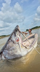 Underwater big fish come out #fish #video #reels | Discovery Site