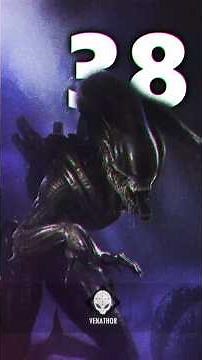 WHAT ARE XENOMORPHS REALLY? │#dailybestiary 38 #alien