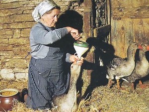 French New Years Eve Food Traditions: Is It Too Weird For You?