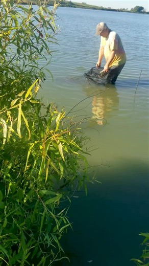 10K views · 89 reactions | Another nice turtle net from last weeks catch. In compliance with our states rules and regulations, all Catfish caught in turtle nets are immediately released. #turtlefishing #fishing #softshellturtle | Winstead Bait Shop | Facebook