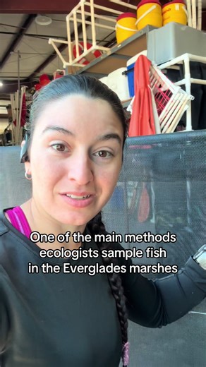 Throw Trapping: Effective Fish Sampling in Everglades