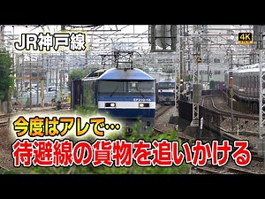 [JR Freight] Chasing freight on sidings again September 2025