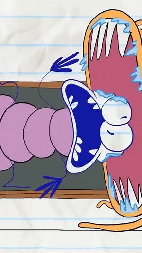 No Sleeping In CLASS! #pencilmation #pencilmate #animation #comedy | Pencilmation