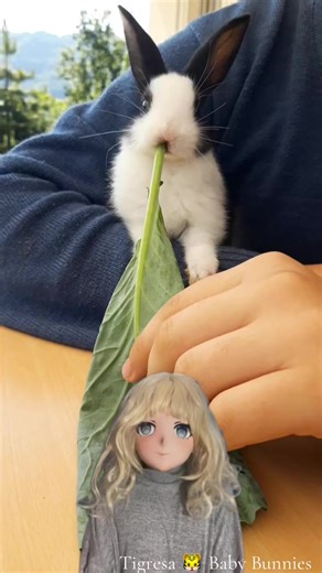 The Joy of Baby Bunnies in Kigurumi