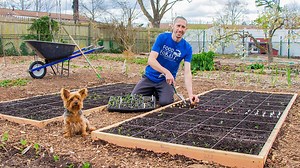 299K views · 5.6K reactions | Square Foot Gardening will take your production to the next level. Today I will show you how to get a square foot garden going, and share with you some of the advantages to this method. | The Gardening Channel With James Prigioni | Facebook