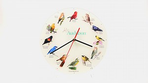 Watch Audubon Songbird Species Classic 12 inch Glass Round Clock on Amazon Live