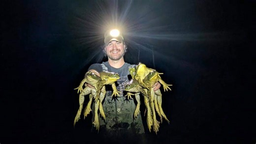 Meet the Nisqually bullfrog man. Refuge hires pro to take out invasive amphibian