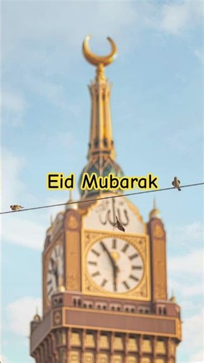 Eid ka hai table #funny #harekfriendkaminahotahai #comedy