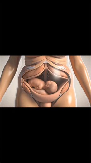 Doctor Aliza on Instagram: "Normal Baby delivery process insideview#process #human #anatomy #foryoupage #delivery"