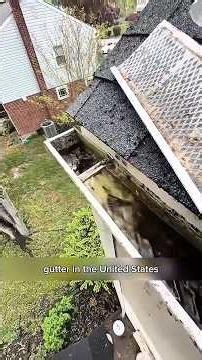 Why Does Gutter Cleaning Cost $300 in America? 😱🏠 #shorts