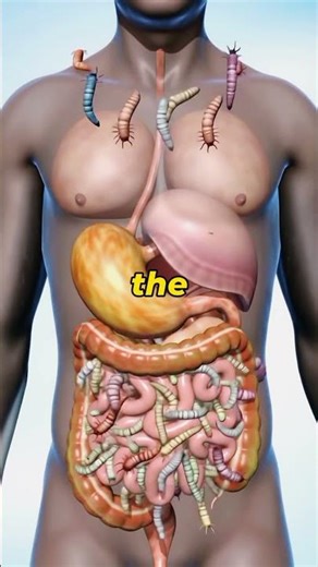 Digestive System Animation in 3D !