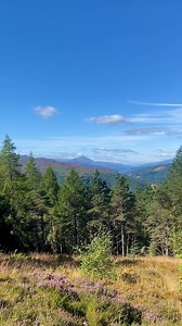 Perthshire’s woodlands are hard to beat for beauty but climb the pine-clad summit of Craigower Hill, and you’ll be spoiled with panoramic views. Craigower, standing at 407m / 1,335ft, is less challenging than a Munro. The short but steep walk to the top is worth the effort as the open heathland allows for incredible scenes from the summit, like the glassy pools of Loch Tummel and Loch Rannoch. In the distant west, you can even see the stately peaks of Glencoe. The trees on the slopes are home to