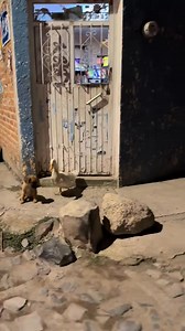 1.1M views · 65K reactions | Stranger on Reels | Facebook