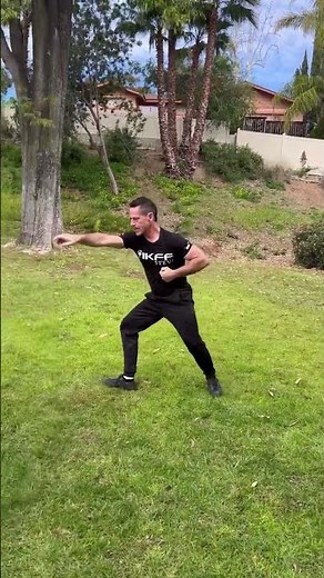 Dragon form of Hsing-I Kung Fu 🐉