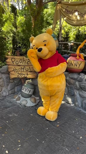 Good morning from our Silly Ol Bear friend Winnie the Pooh! ☀️🧸🍯💛 #winniethepooh #goodmorning #sillyolbear | Disney Addicts