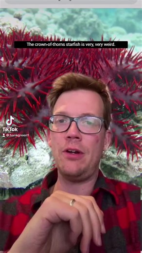 Discovering the Fascinating World of Crown of Thorns Starfish