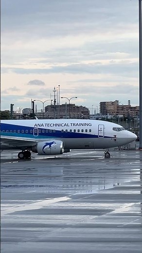 【飛行機】スーパードルフィンANA 全日本空輸 boeing ボーイング737-500 整備訓練機 ANA TECHNICAL TRAINING