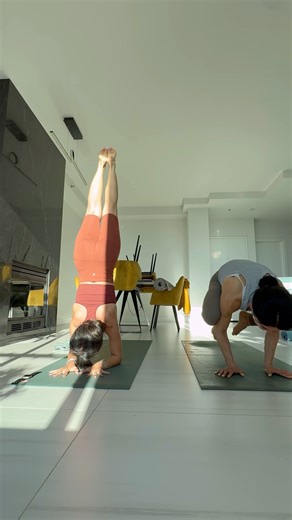 "Hand balance! Elbow stand! Pincha Mayurasana!" #ashtangayoga #elbowstand #handbalance #yogaathome