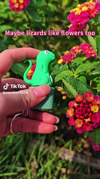 Unique Lizard Keychain Gift You’ve Been Waiting For!