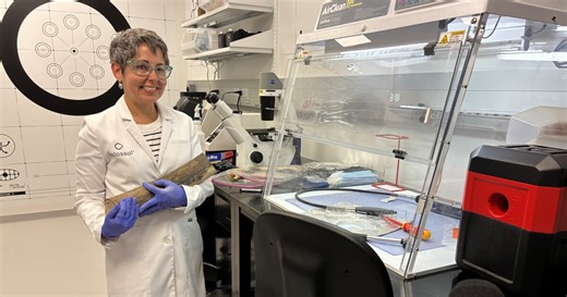 Colossal Biosciences breeds controversy while trying to revive mammoths