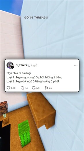 phân loại giấc ngủ