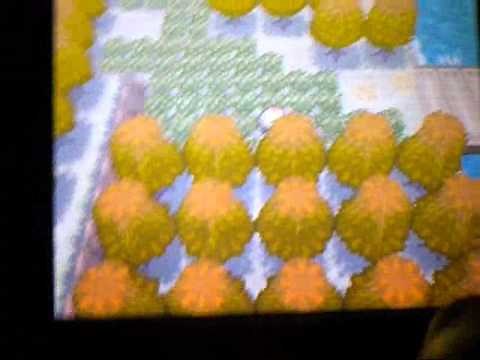 Pokemon Black & White Shiny Action Replay Code!