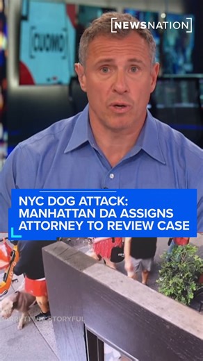 In New York City, a Chihuahua named Penny was mauled by two pit bulls in an attack caught on camera. Lauren Claus, Penny’s owner, tells Chris Cuomo about her journey seeking justice for her dog. MORE: https://www.newsnationnow.com/cuomo-show/nyc-dog-attack-manhattan-da-assigns-attorney-to-review-case/ | NewsNation