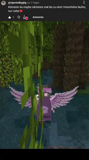 Bis ich eine ... gefunden habe #minecraft #minecraftchill #minecraftedit #run