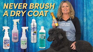 1.4K views · 35 reactions | In many of our grooming tutorials, you will hear Allison say “remember, you should never brush a dry coat”... and we are always asked WHY? Allison explains how you need the brushing spray to create a lubricant that eliminates friction and damage in the coat. Watch this tutorial and more on our YouTube herehttps://youtu.be/0K5xa-UbNT0 | Leading Edge Dog Show Academy | Facebook
