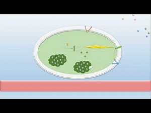 PANCREAS ENDOCRINE ET SES SECRETIONS HORMONALES