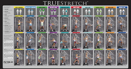 TRUE Stretch Cage - TRUE Fitness