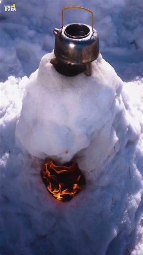 That's Why People Live In Antartica