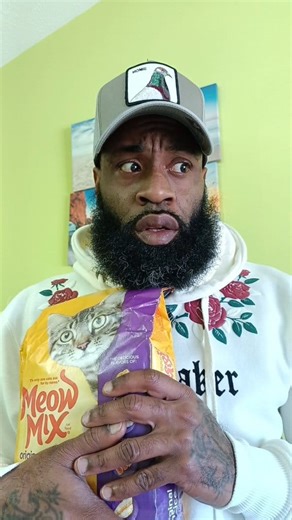 12K views · 775 reactions | Me as a Cat sitter 路‍♂️... #fails #reactions #people #funnyvideos | FlickSnack | Facebook