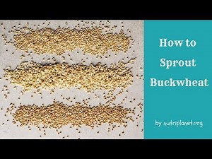 How to Sprout Buckwheat and How to Use Sprouted Buckwheat