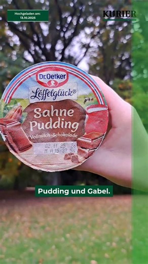 Auch in Bayreuth treffen sich junge Leute jetzt zum viralen Pudding-mit-Gabel-Treffen. Im Hofgarten setzen sie sich im Kreis auf, klopfen auf ihren Pudding, zählen runter und gabeln gemeinsam los. Der Trend startete im August 2025 in Karlsruhe und breitet sich seitdem von Deutschland bis nach London und New York aus. Das Treffen in Bayreuth wurde vorzeitig beendet. Alle Infos dazu auf www.kurier.de #kurier #nordbayerischerkurier #Bayreuth #hofgarten #pudding #puddingmitgabel | Nordbayerischer Ku