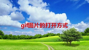 gif图片的打开方式