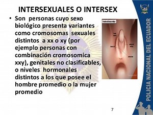 Operacion Transgenero De Mujer A Hombre Genitales