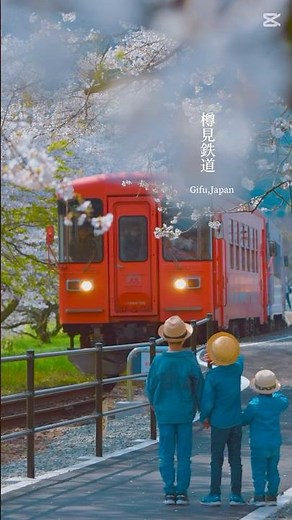樽見鉄道・谷汲口駅 2025/04/07撮影 #谷汲口駅 #樽見鉄道 #桜のトンネル #満開の桜 #ローカル線のある風景 #春の鉄道旅 #桜スポット #無人駅の魅力 #鉄道写真部