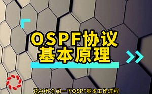 OSPF协议基本原理