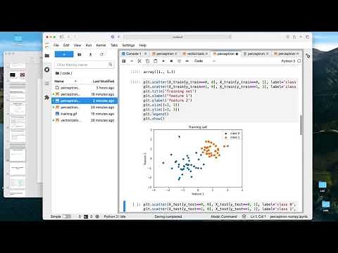L3.4 Perceptron in Python using NumPy and PyTorch