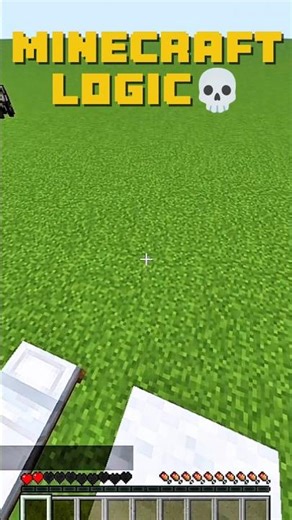 Minecraft Logic That Makes ZERO Sense… 😭 #shorts