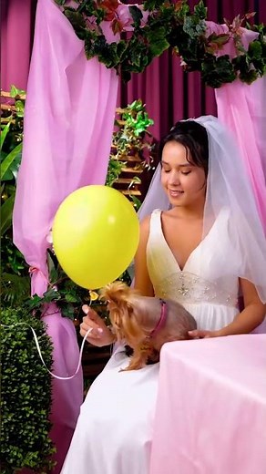 🎉 Ultimate Wedding Day Tips & Tricks!